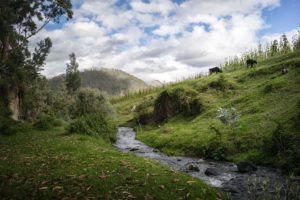 sean-paul-kinnear-477283-unsplash-300x200 Landscapes of the Heathland